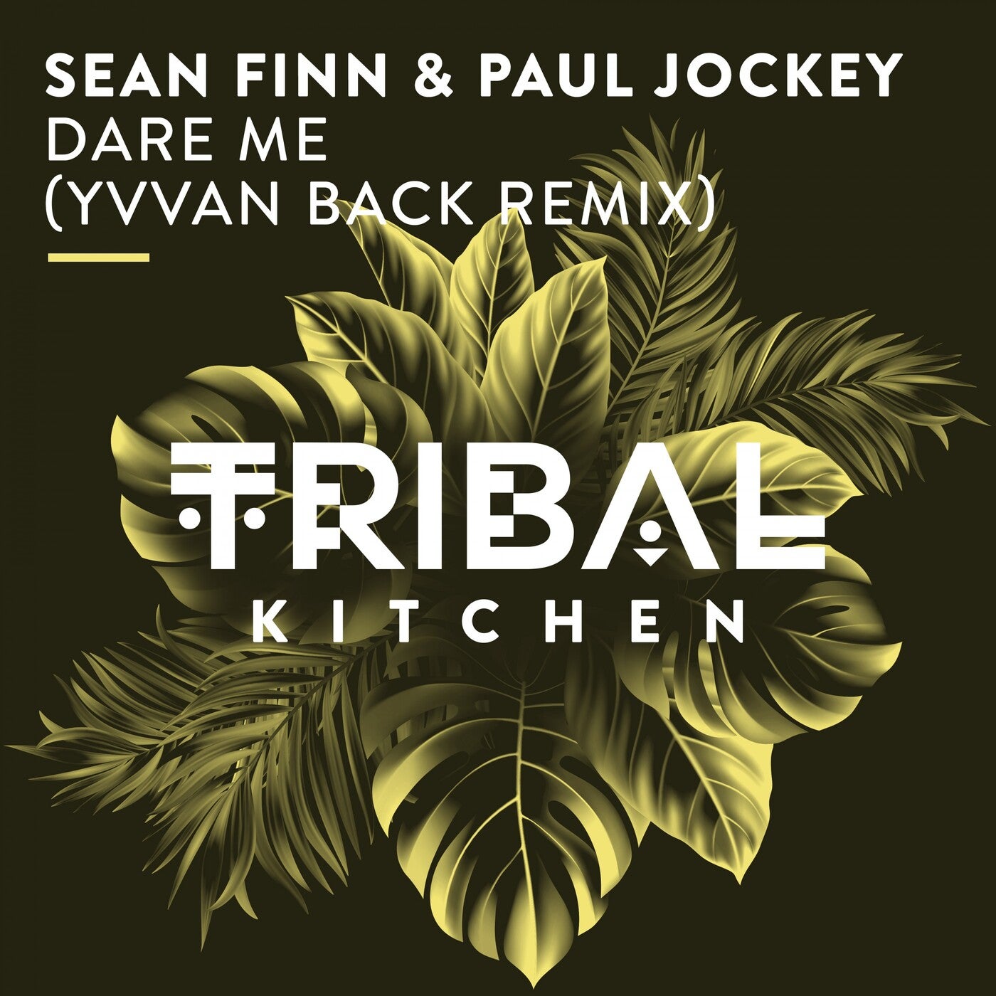 Sean Finn, Paul Jockey – Dare Me (Yvvan Back Remix) [TK099]
